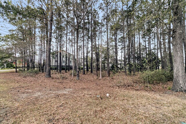 1508 Rivertowne Country Club Dr, Mount Pleasant, SC 29466