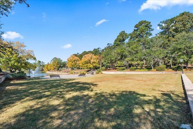 view of community with a yard