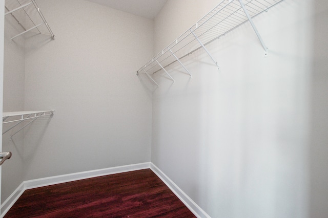 walk in closet with hardwood / wood-style flooring