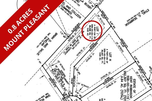 0 Lucys Ln, Mount Pleasant SC, 29466 land for sale