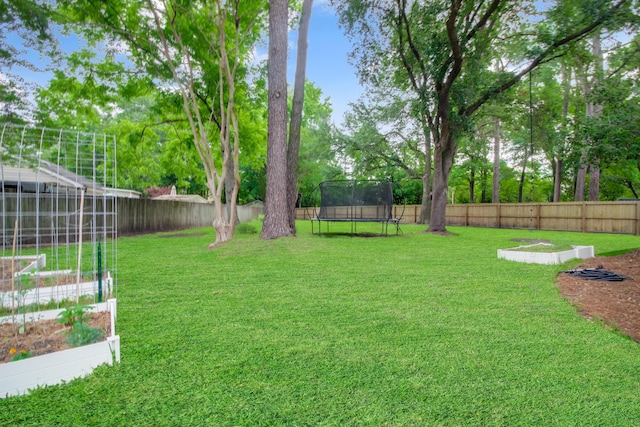 view of yard featuring a trampoline and a garden