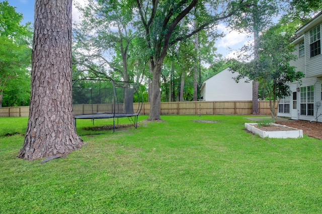 view of yard with a trampoline