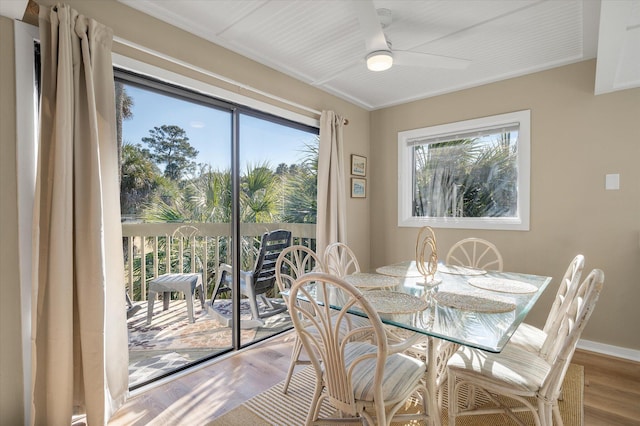 dining area with ceiling fan and light hardwood / wood-style flooring