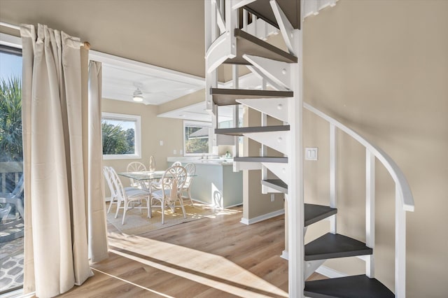 stairs featuring hardwood / wood-style flooring and ceiling fan