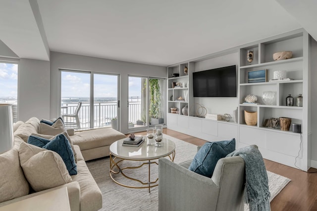 330 Concord St Unit 18F, Charleston, SC 29401 - living room featuring wood finished floors and built in shelves