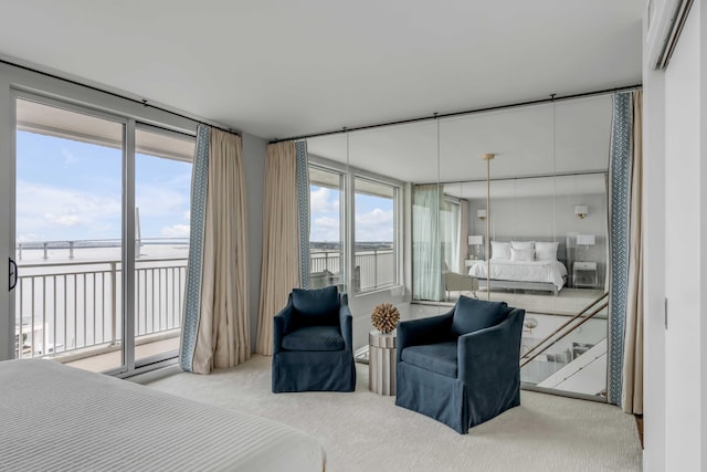 330 Concord St Unit 18F, Charleston, SC 29401 - carpeted bedroom featuring access to exterior