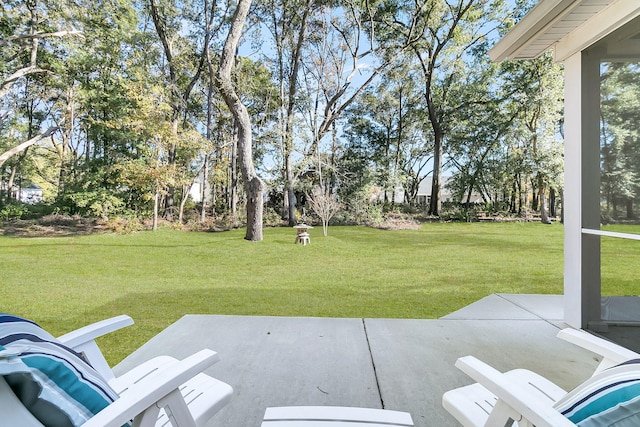 view of yard with a patio area