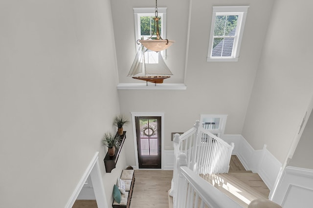 entryway featuring a high ceiling, healthy amount of natural light, wainscoting, wood finished floors, and a decorative wall