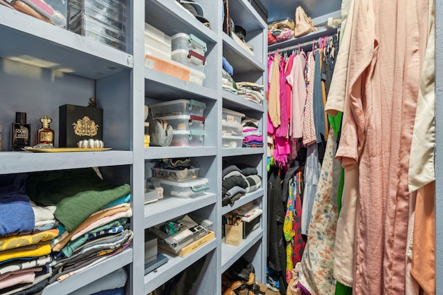 view of spacious closet