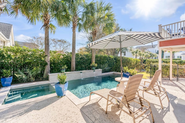 view of swimming pool with a patio