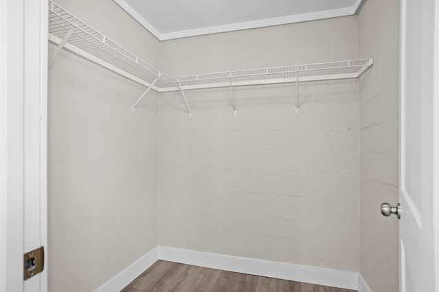 walk in closet featuring wood-type flooring