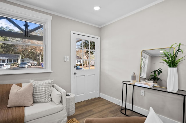 doorway with crown molding, a wealth of natural light, and dark hardwood / wood-style floors