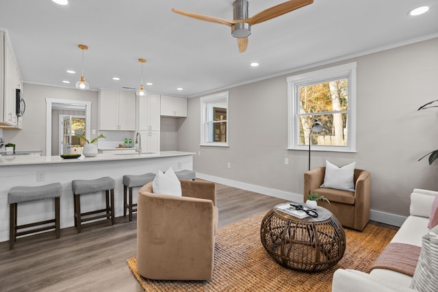 living room featuring dark hardwood / wood-style flooring, sink, ornamental molding, and ceiling fan