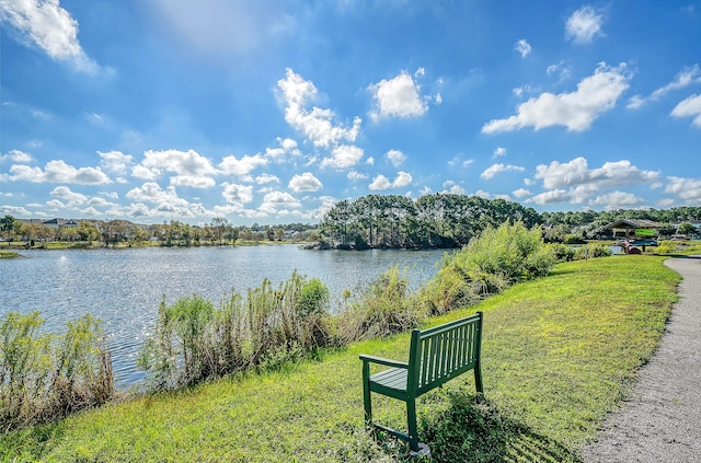 2739 Calico Bass Ln, Johns Island, SC 29455 - water view