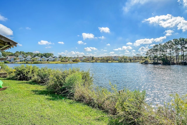2739 Calico Bass Ln, Johns Island, SC 29455 - water view