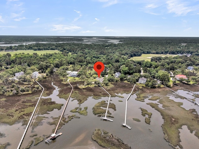 4702 Blockhouse Ln, Hollywood, SC 29449 - aerial view of property's location featuring a large body of water and a forest