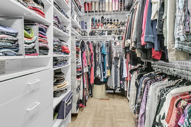 4702 Blockhouse Ln, Hollywood, SC 29449 - view of walk in closet