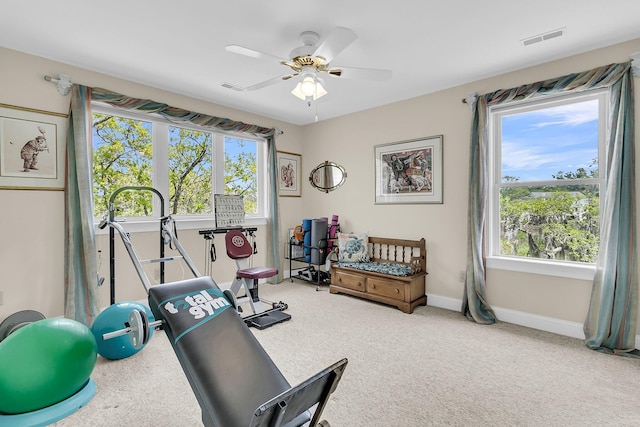 4702 Blockhouse Ln, Hollywood, SC 29449 - workout area with plenty of natural light, baseboards, ceiling fan, and carpet floors
