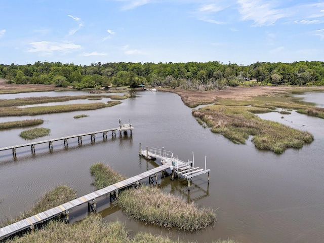 4702 Blockhouse Ln, Hollywood, SC 29449 - dock with boat lift, a water view, and a forest view
