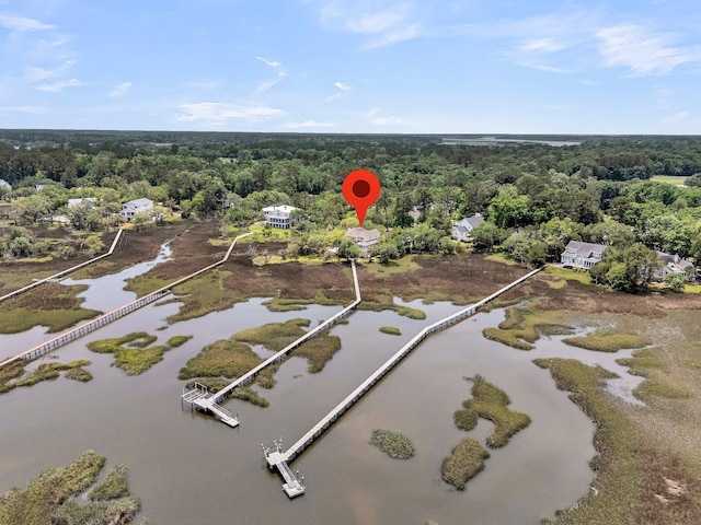 4702 Blockhouse Ln, Hollywood, SC 29449 - view of property location with a forest and a nearby body of water