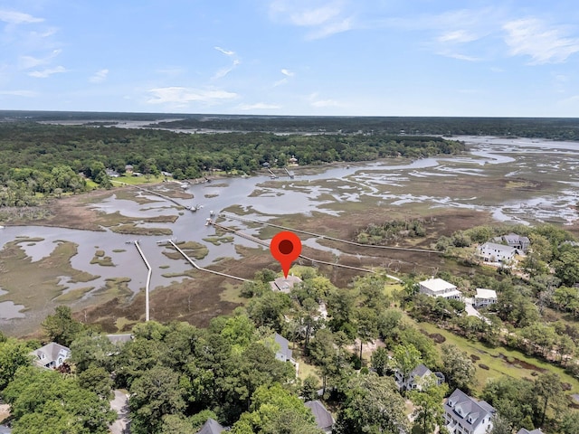 4702 Blockhouse Ln, Hollywood, SC 29449 - aerial view of a nearby body of water and a heavily wooded area