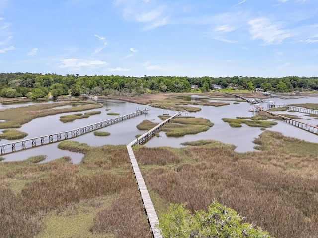4702 Blockhouse Ln, Hollywood, SC 29449 - drone / aerial view of a nearby body of water
