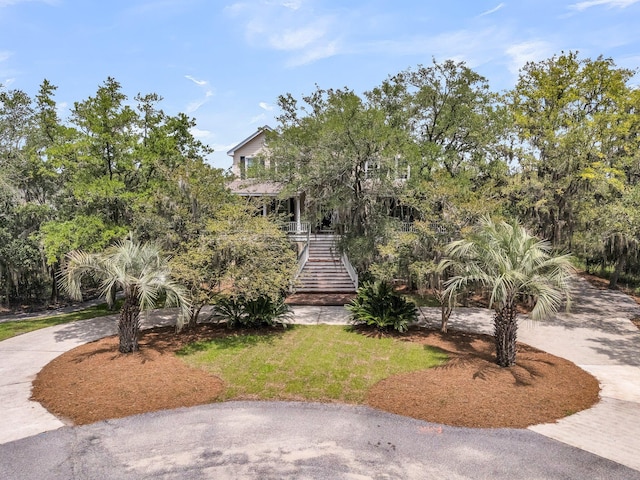 4702 Blockhouse Ln, Hollywood, SC 29449 - view of front facade with stairway, curved driveway, and a front yard