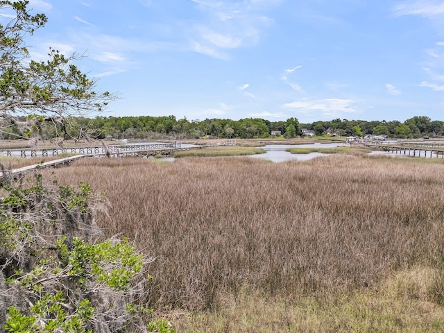 4702 Blockhouse Ln, Hollywood, SC 29449 - water view