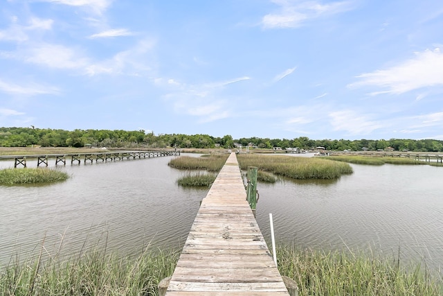 4702 Blockhouse Ln, Hollywood, SC 29449 - dock area with a water view