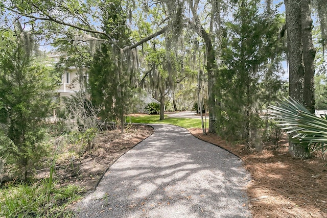 4702 Blockhouse Ln, Hollywood, SC 29449 - view of community