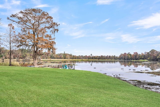 1106 Mccrae Dr, Moncks Corner, SC 29461 - view of yard with a water view