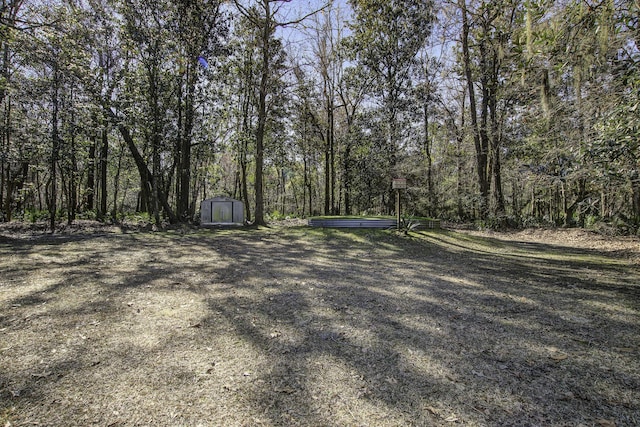 view of yard featuring an outdoor structure and a shed