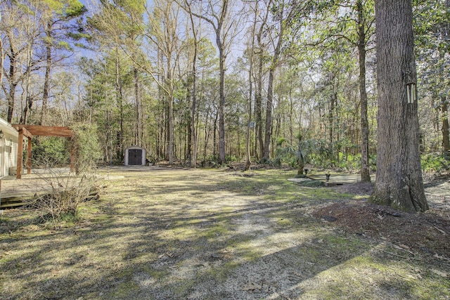 view of yard featuring a storage unit and an outdoor structure