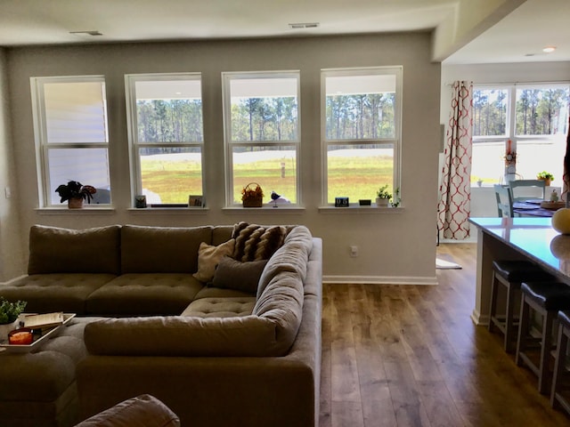 living room with hardwood / wood-style floors