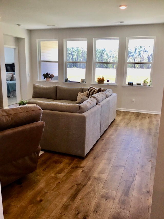 living room with hardwood / wood-style floors