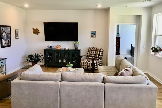 living room with hardwood / wood-style floors