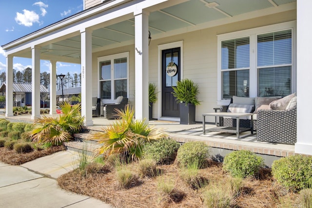 view of exterior entry featuring covered porch and ceiling fan