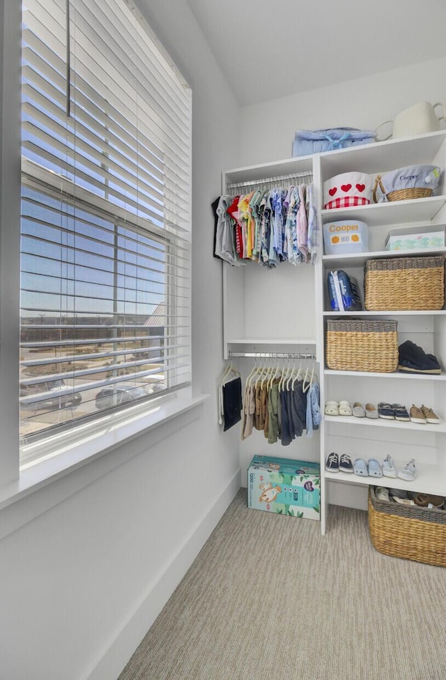 spacious closet featuring carpet