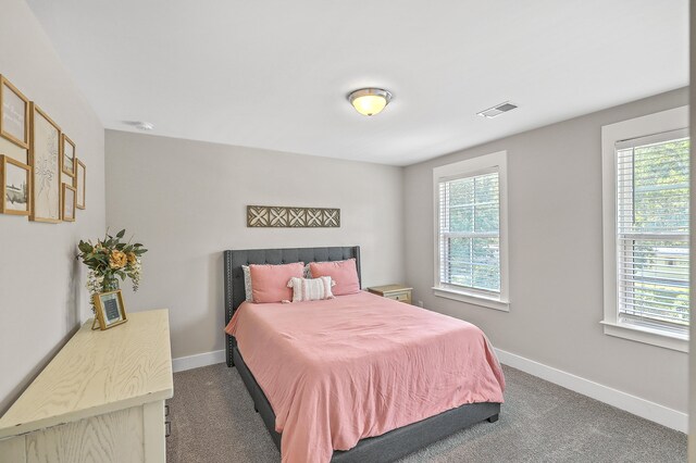 carpeted bedroom with multiple windows