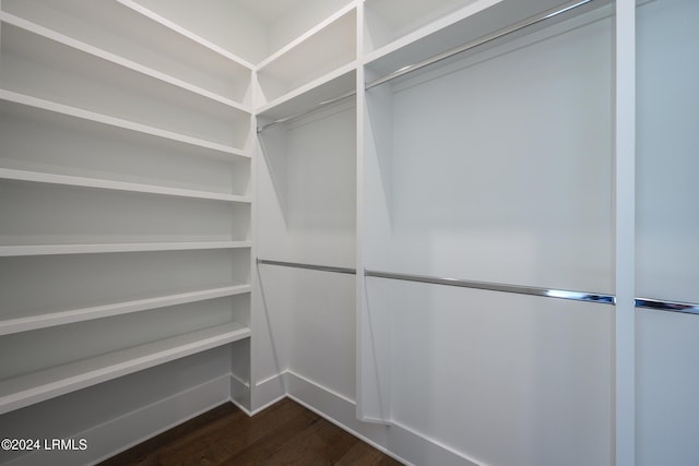 spacious closet featuring dark hardwood / wood-style floors