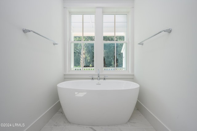 bathroom featuring plenty of natural light and a washtub