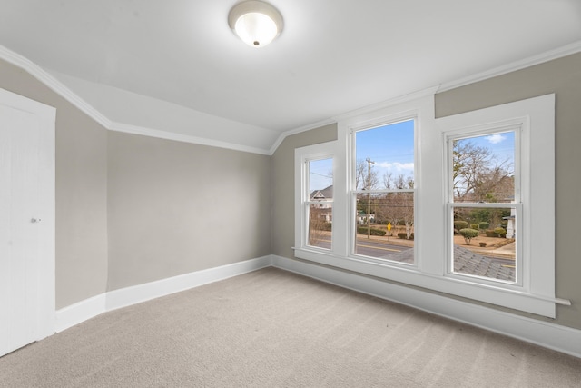 additional living space featuring vaulted ceiling and carpet