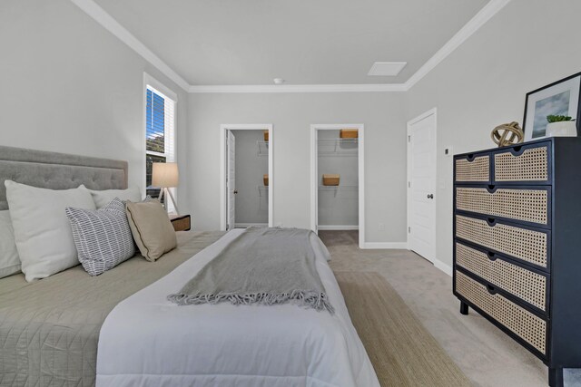 carpeted bedroom with crown molding, a walk in closet, and a closet