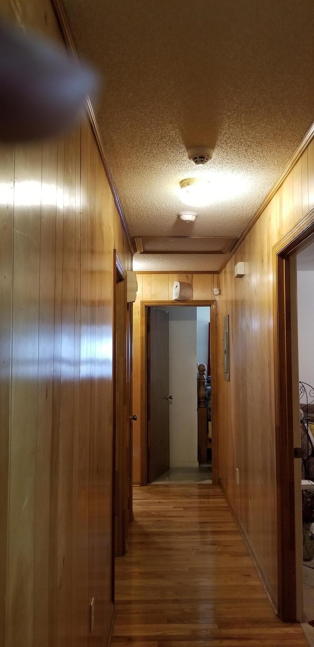 107 Kelly St, Walterboro, SC 29488 - corridor featuring ornamental molding, wooden walls, a textured ceiling, and wood finished floors