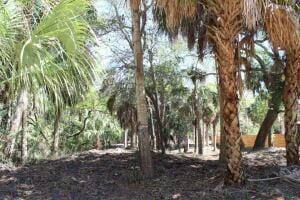 3104 Fort St, Edisto Beach, SC 29438