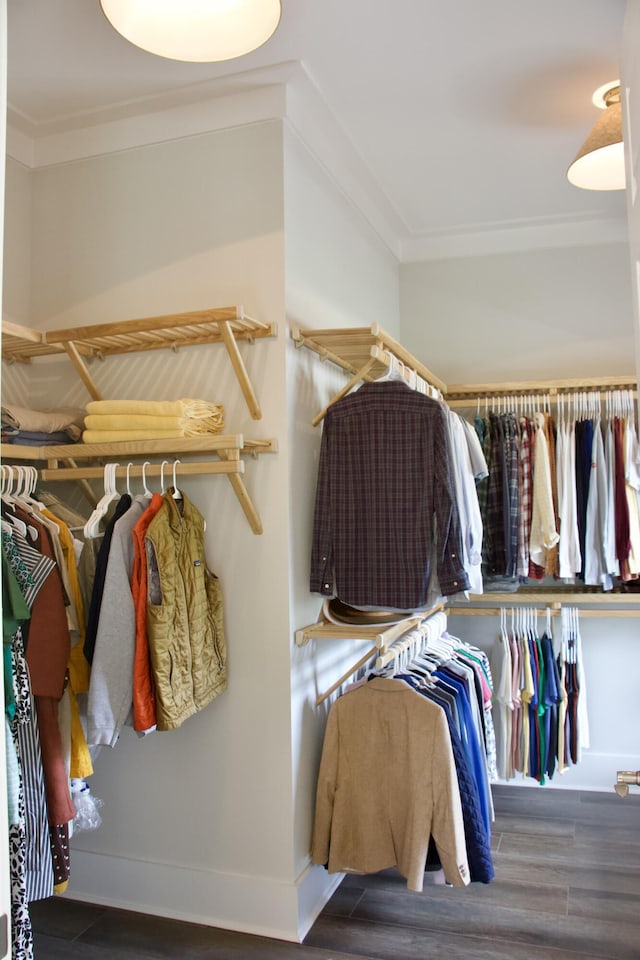 1723 Bolden Dr, Mount Pleasant, SC 29466 - walk in closet featuring wood finished floors