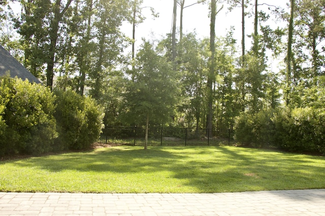 1723 Bolden Dr, Mount Pleasant, SC 29466 - view of yard