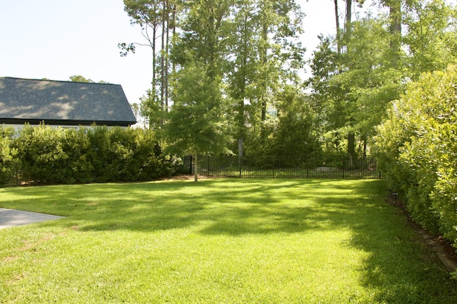 1723 Bolden Dr, Mount Pleasant, SC 29466 - view of yard