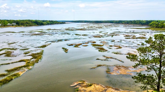 1723 Bolden Dr, Mount Pleasant, SC 29466 - water view