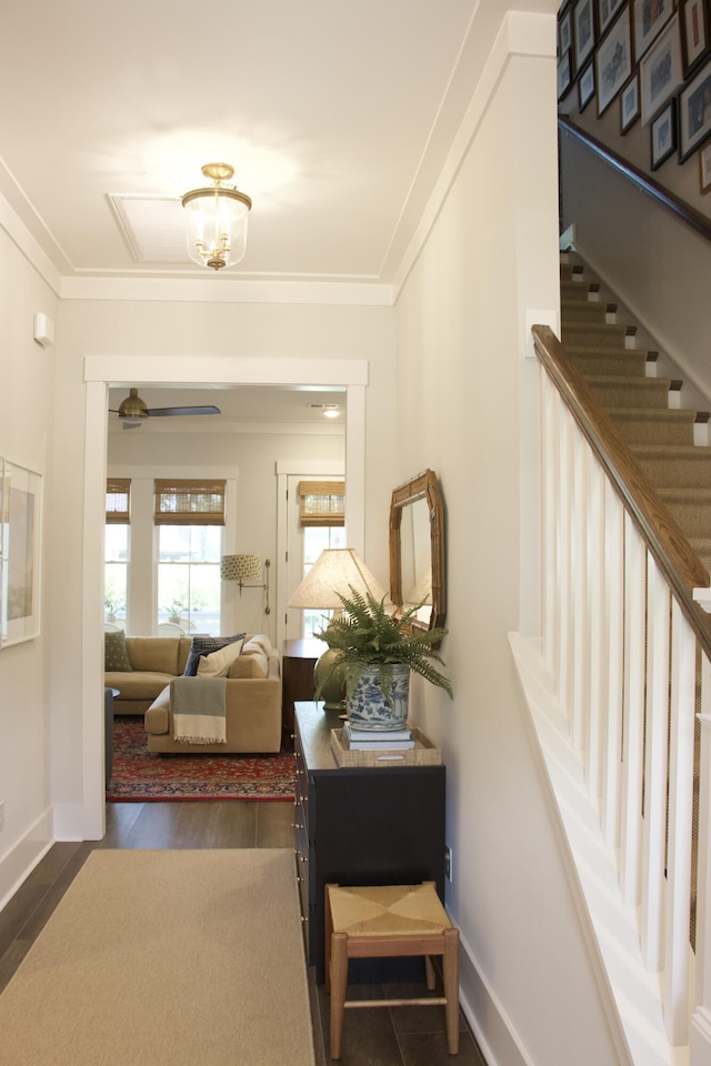 1723 Bolden Dr, Mount Pleasant, SC 29466 - corridor featuring ornamental molding, stairs, baseboards, and wood finished floors